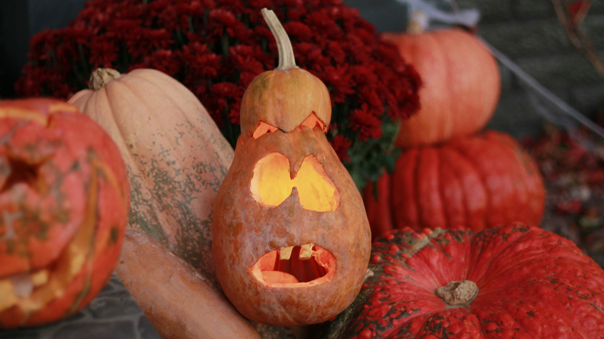 Halloween Saludable: Deliciosas Alternativas a los Dulces Tradicionales