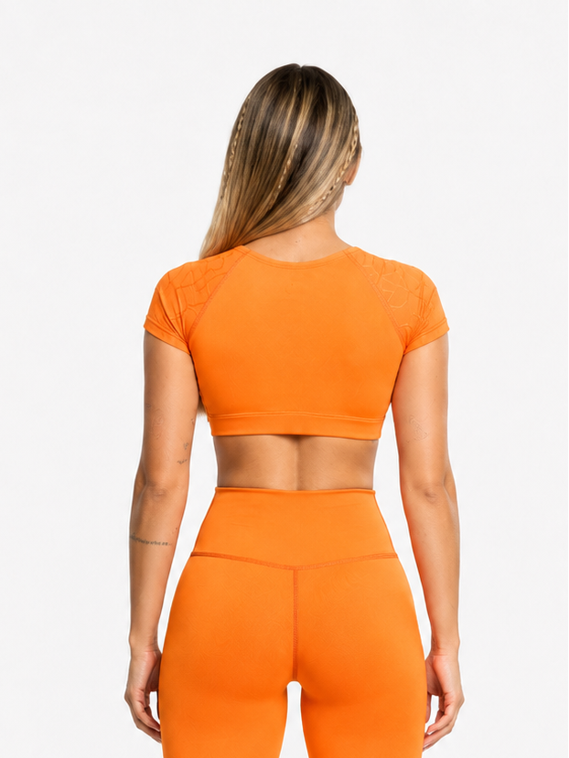 Crop Top Workout