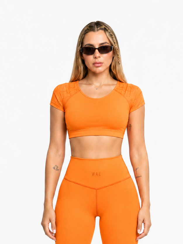 Crop Top Workout